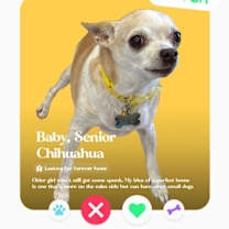 Thumbnail photo of Baby #4