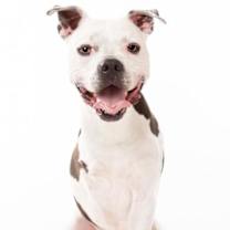 Thumbnail photo of Brian #1