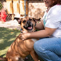 Thumbnail photo of Rebel #1