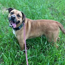 Thumbnail photo of Rebel #3