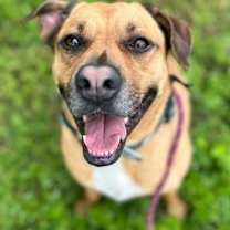 Thumbnail photo of Rebel #4