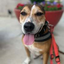 Thumbnail photo of Evander #3