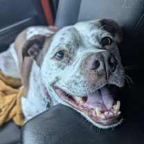 Thumbnail photo of Freckles #1