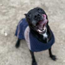 Thumbnail photo of Zeus #2