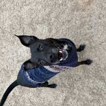 Thumbnail photo of Zeus #3