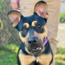 Thumbnail photo of Emmy #1