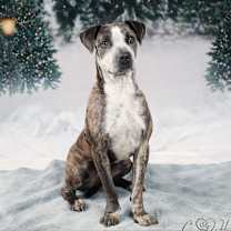 Thumbnail photo of Granger #3
