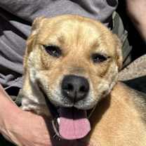 Thumbnail photo of Lorilei #1