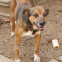 Thumbnail photo of Bugsy #3