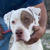 Thumbnail photo of JOHNNY #3