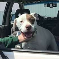 Thumbnail photo of JOHNNY #4