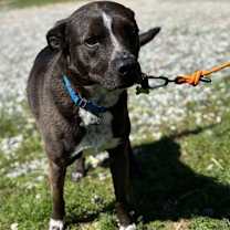 Thumbnail photo of MACY #2