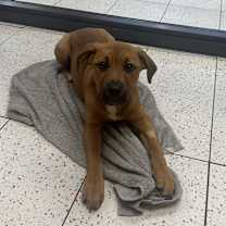 Thumbnail photo of Betty #2
