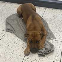 Thumbnail photo of Betty #3
