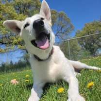 Thumbnail photo of Myah #2