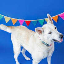 Thumbnail photo of Myah #3