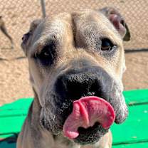 Thumbnail photo of JULIE #4