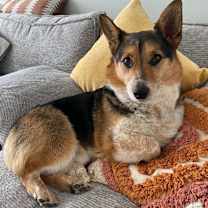 Thumbnail photo of Huck #2