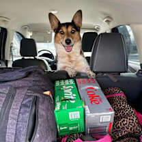 Thumbnail photo of Huck #3