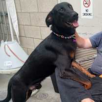 Thumbnail photo of CARTER #1