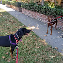 Thumbnail photo of CARTER #2