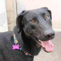 Thumbnail photo of CARTER #3