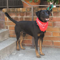 Thumbnail photo of CARTER #1