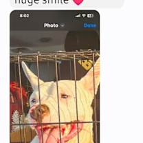 Thumbnail photo of Sugar #2