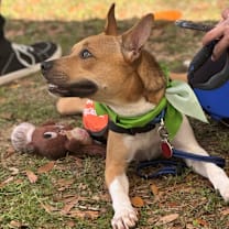 Thumbnail photo of VICTOR #1