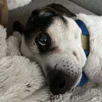 Thumbnail photo of Buster~ #4