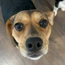 Thumbnail photo of Lyla #2