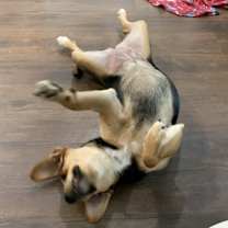 Thumbnail photo of Lyla #3