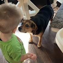 Thumbnail photo of Lyla #4