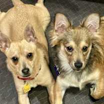 Thumbnail photo of Kramer! #2