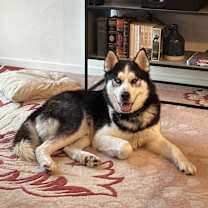 Thumbnail photo of River #1