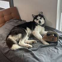 Thumbnail photo of River #2