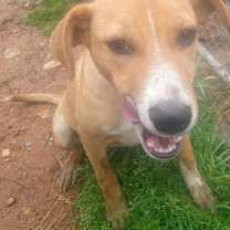 Thumbnail photo of Luna2 #1