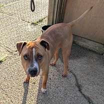 Thumbnail photo of BRODY #2