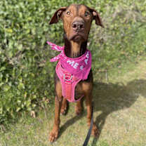 Thumbnail photo of Greta #1