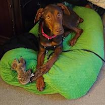 Thumbnail photo of Greta #3