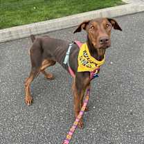 Thumbnail photo of Greta #4