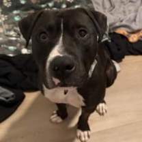 Thumbnail photo of Drop #2