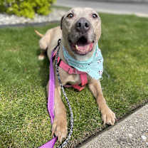 Thumbnail photo of Little Mama #1