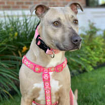 Thumbnail photo of Little Mama #3