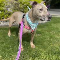 Thumbnail photo of Little Mama #4