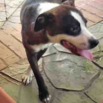 Thumbnail photo of CHARM #1