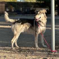 Thumbnail photo of JAMES #1