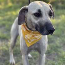 Thumbnail photo of Ash #1