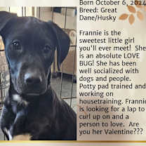 Thumbnail photo of Frannie #3