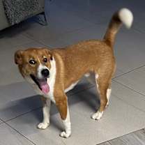 Thumbnail photo of Trevor #1